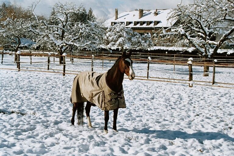 Centre Equestre Les Hauts de Corsinge - sorties de votre cheval