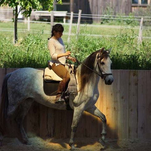 Centre Equestre Les Hauts de Corsinge - Alimentation cheval