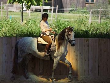 Centre Equestre Les Hauts de Corsinge - Equitation