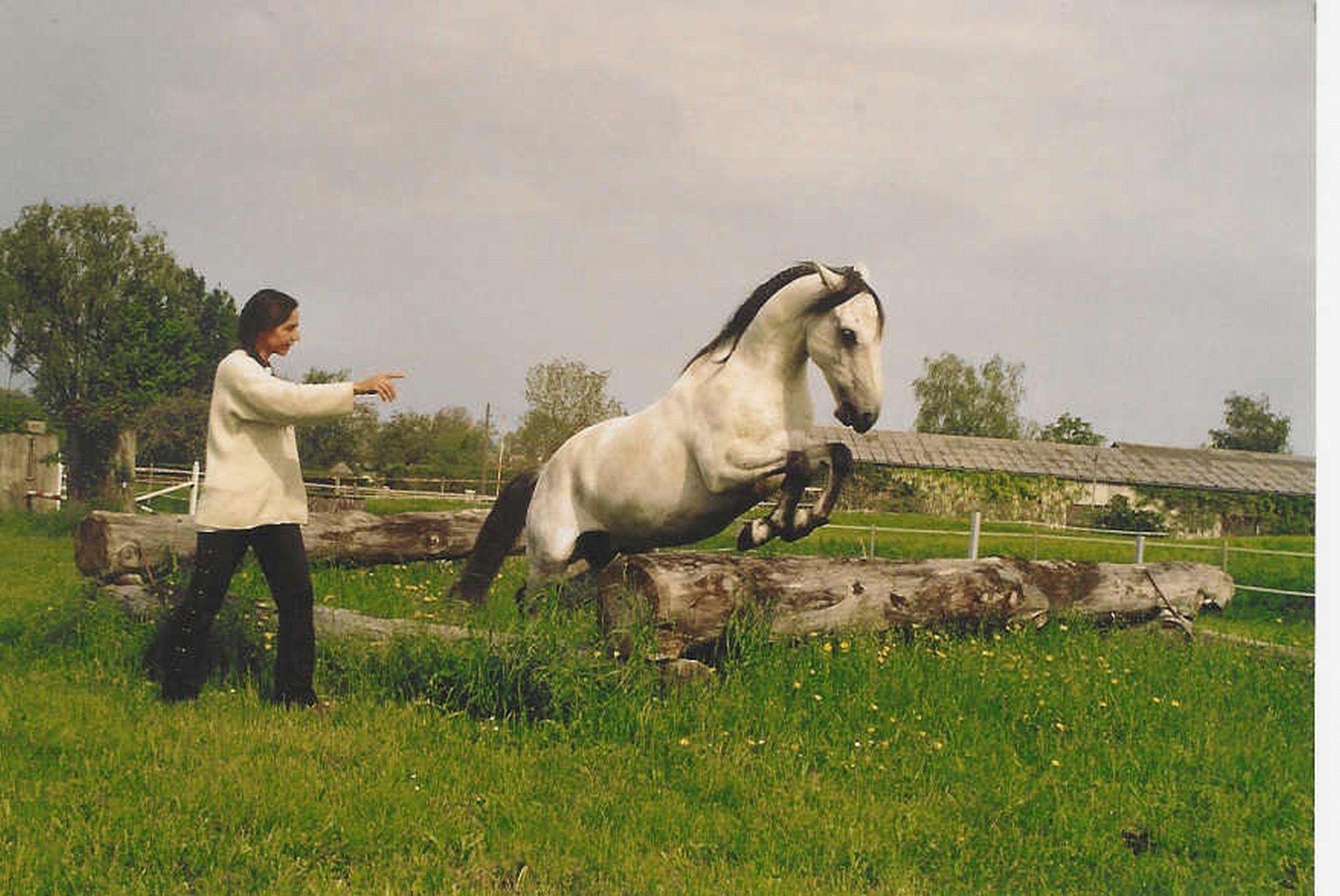 Centre Equestre Les Hauts de Corsinge - Pension cheval