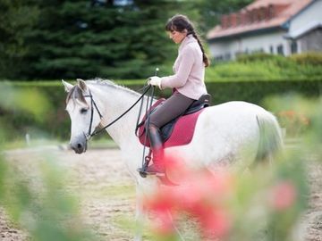 Centre Equestre Les Hauts de Corsinge - Cheval