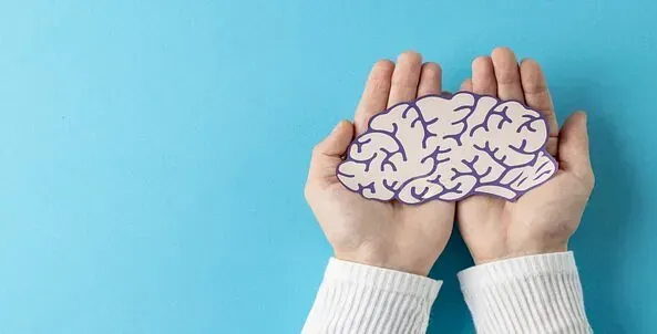 Una persona sostiene un cerebro de papel en sus manos sobre un fondo azul.