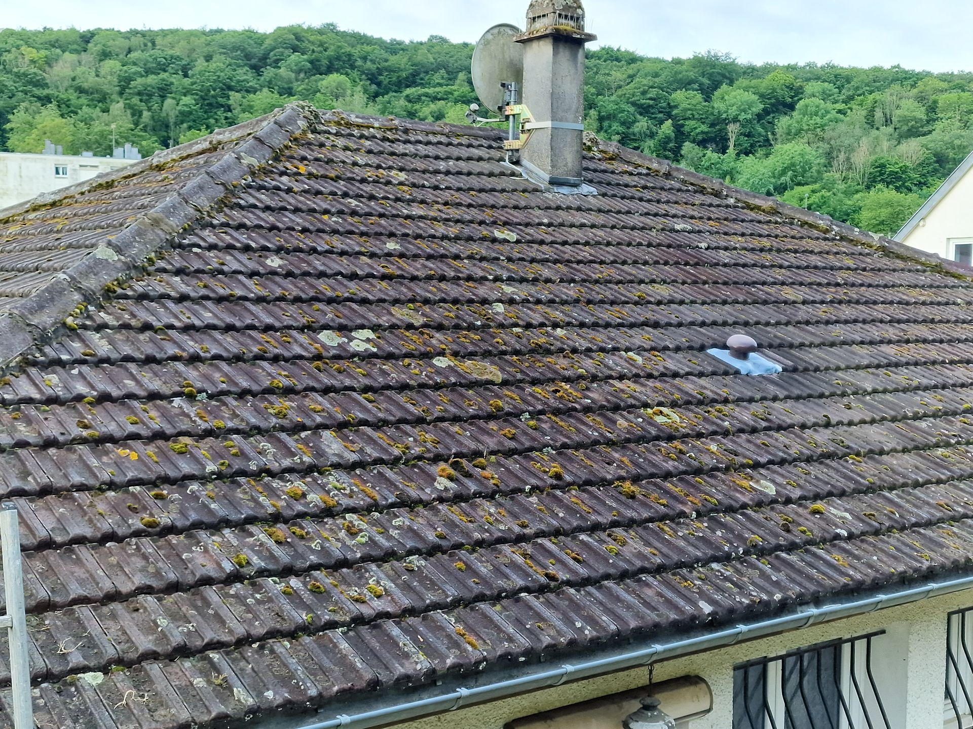 Toit de tuiles patiné par le temps avec une cheminée, se détachant sur un fond d'arbres verdoyants et de maisons voisines