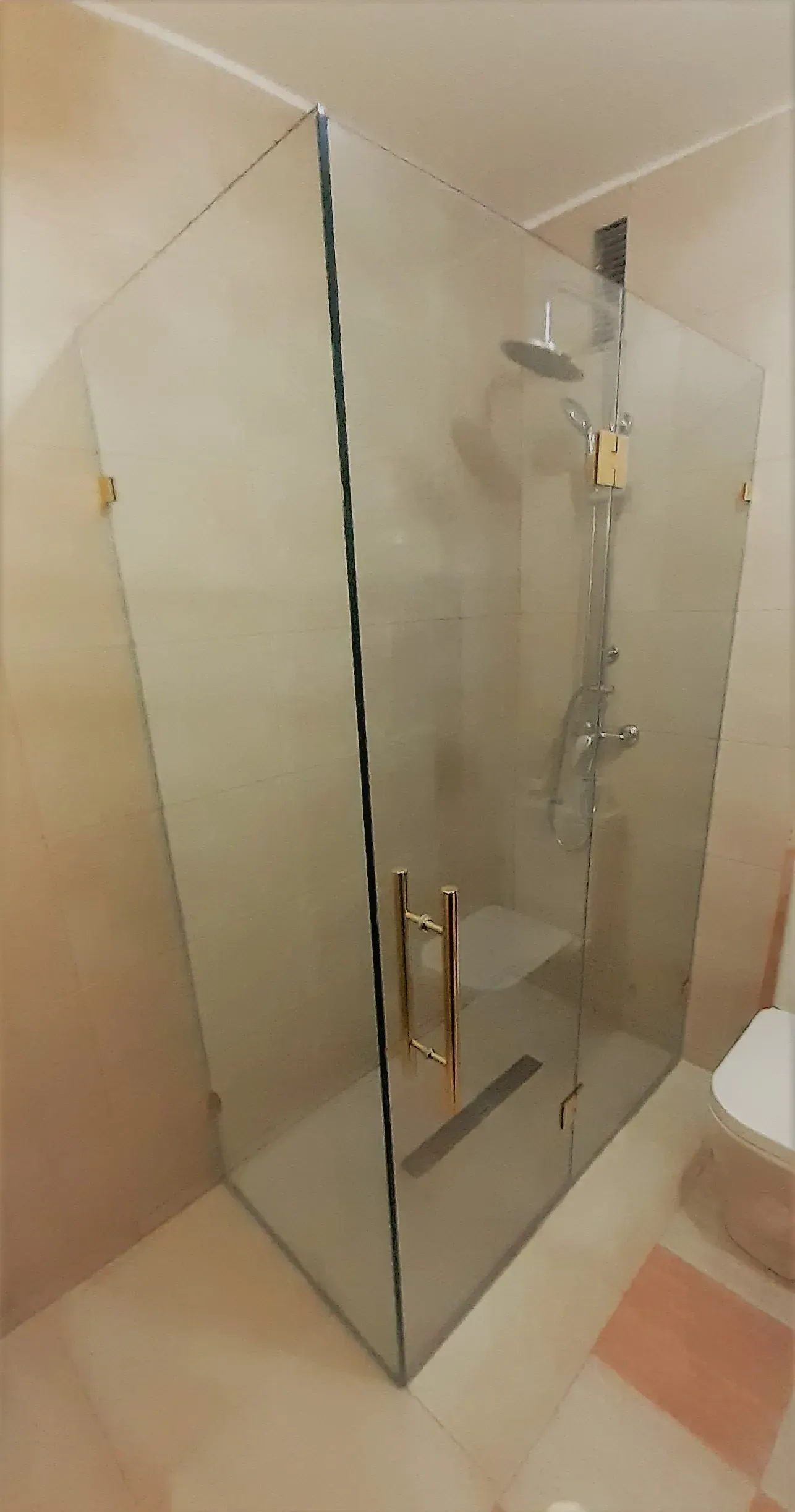 Un baño con ducha a ras de suelo y un inodoro.