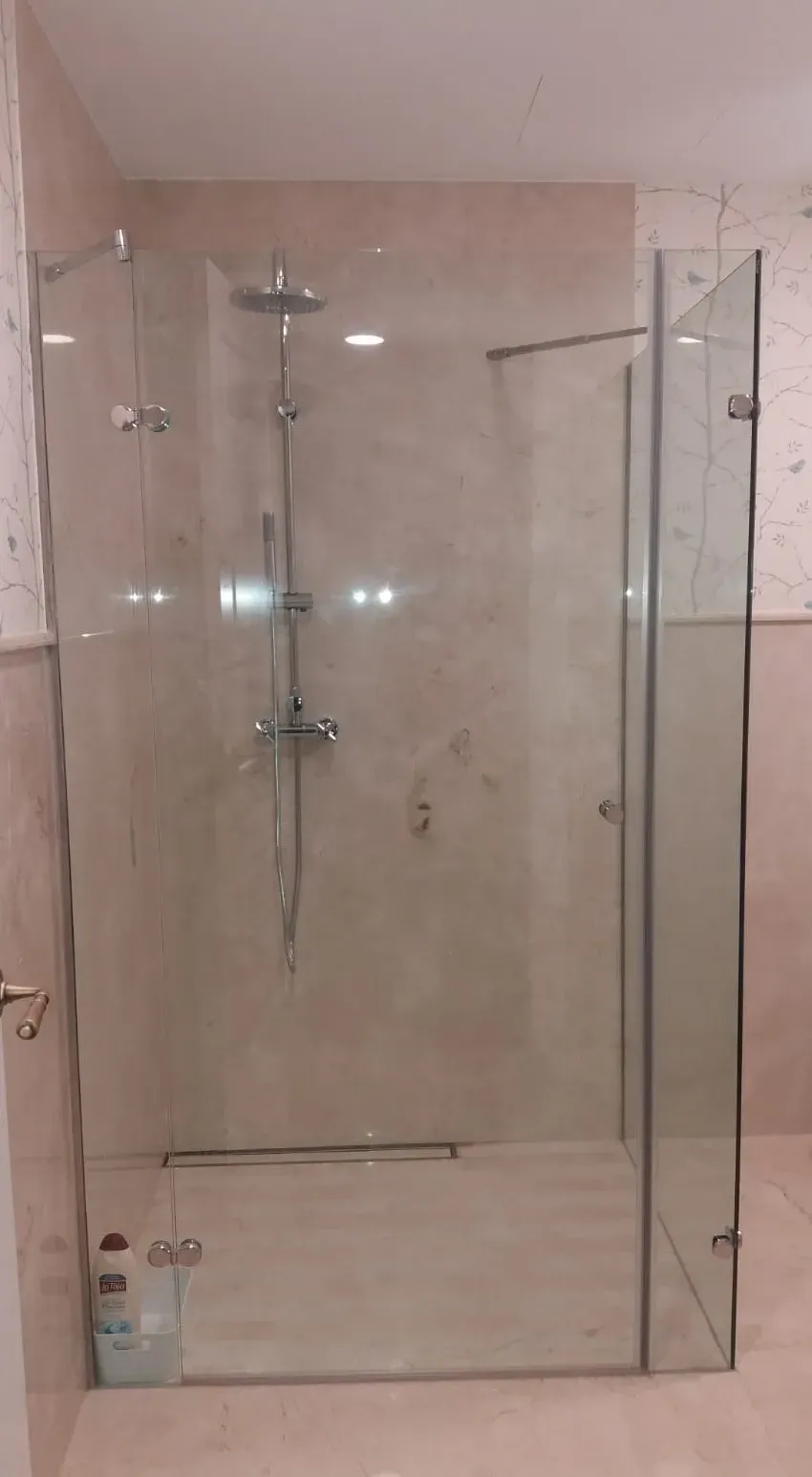Un baño con ducha a ras de suelo y puerta de cristal.