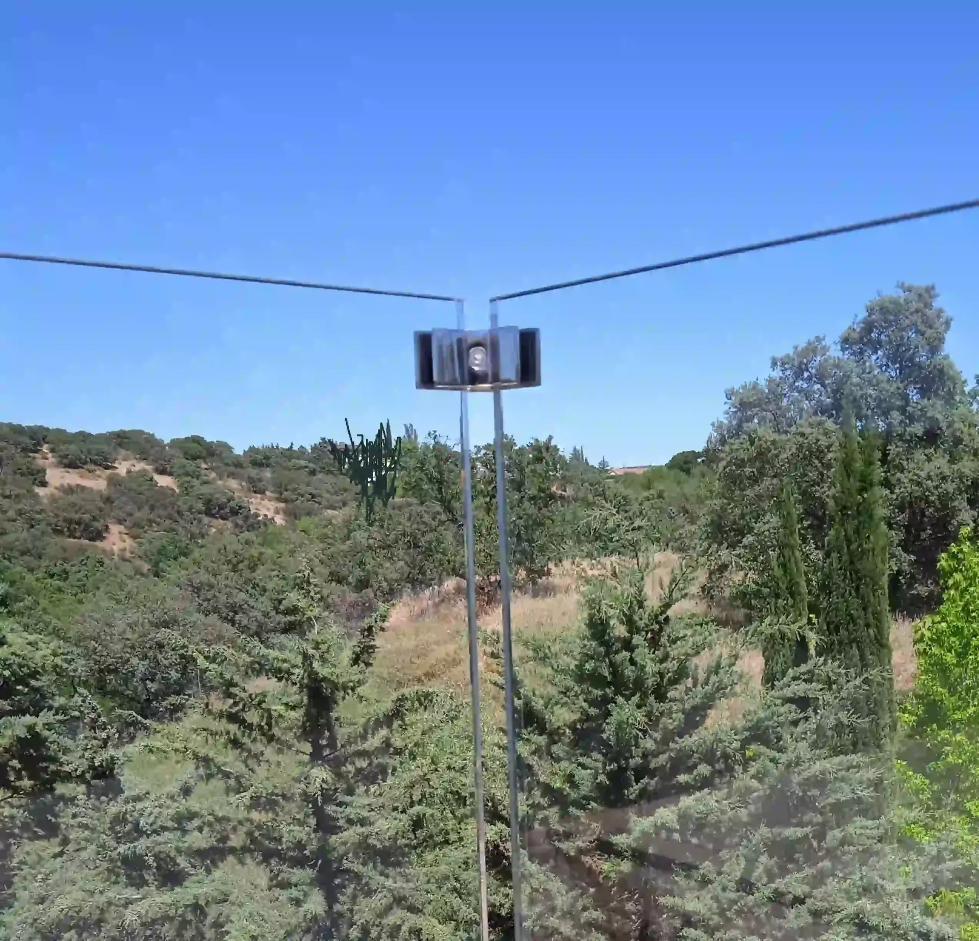Un poste telefónico en medio de un bosque con un cielo azul de fondo.