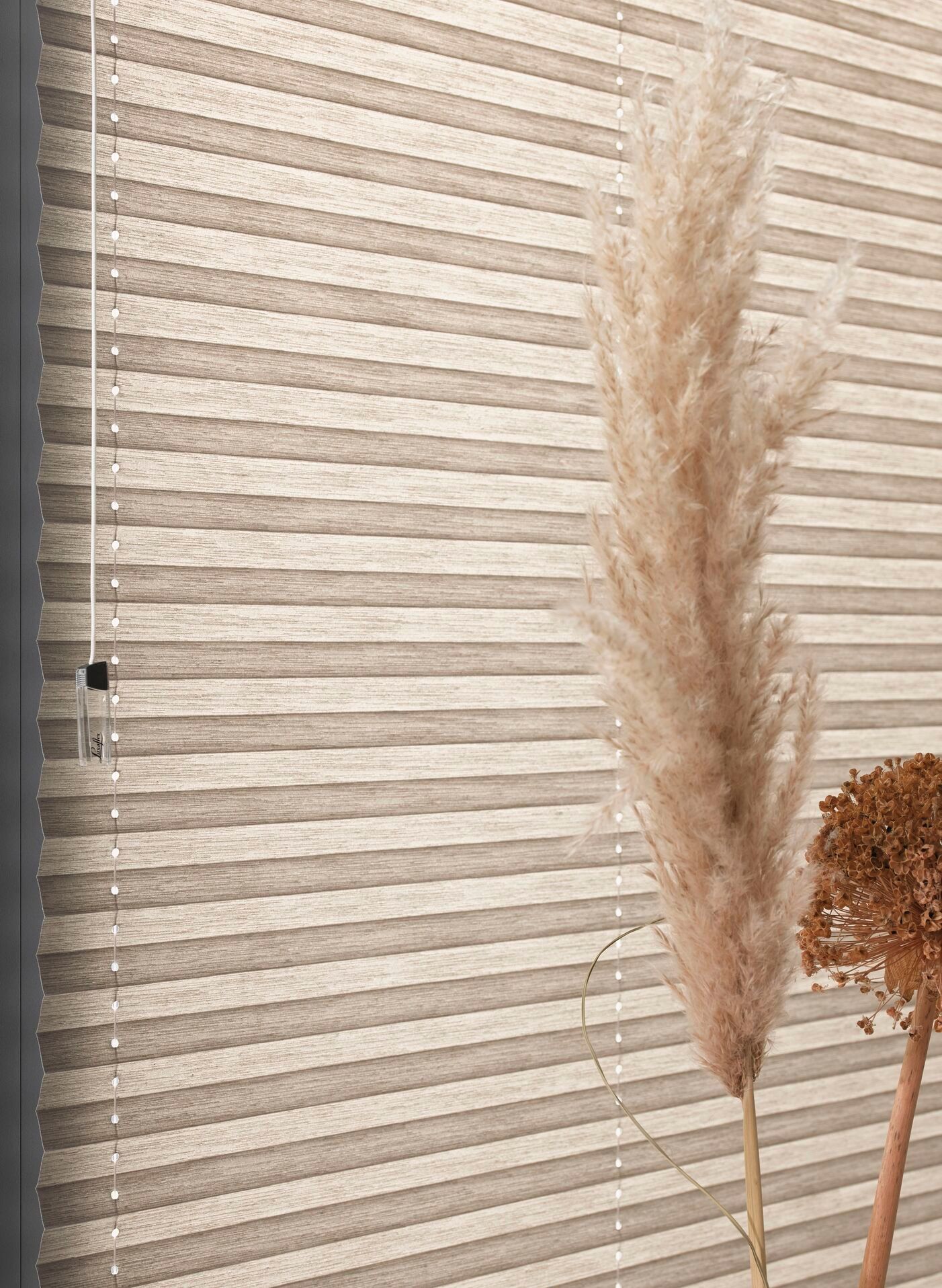 Un primer plano de una persiana con una planta delante de ella.