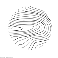 Abstraktes Linienmuster in Schwarz auf weißem Hintergrund.
