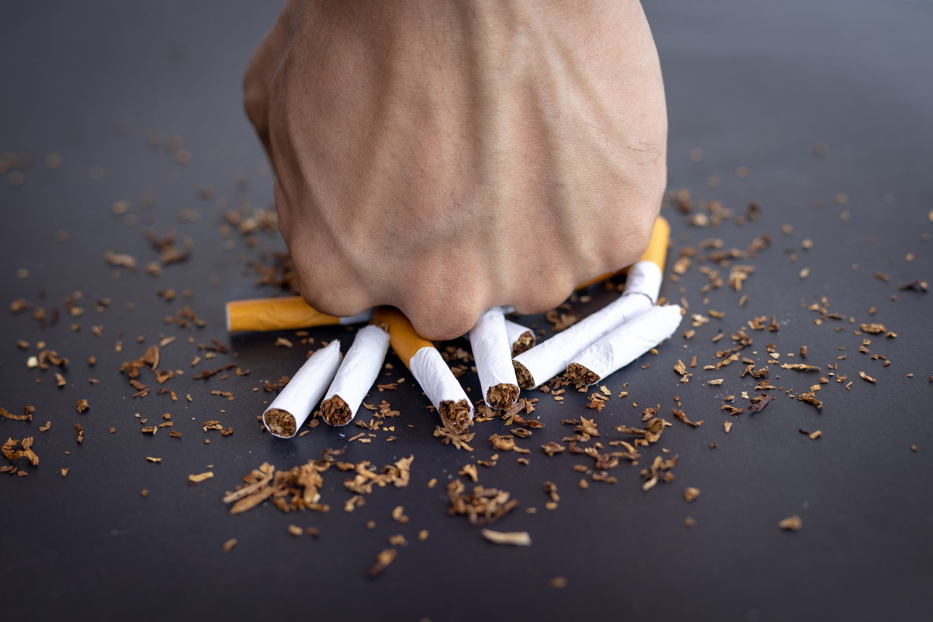 Mano aplastando cigarrillos, mostrando el deseo de dejar de fumar. Tabaco marrón y cigarrillos blancos rotos sobre una superficie negra.