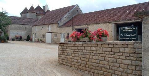 vins - domaine GHEERAERT à Mosson en Bourgogne