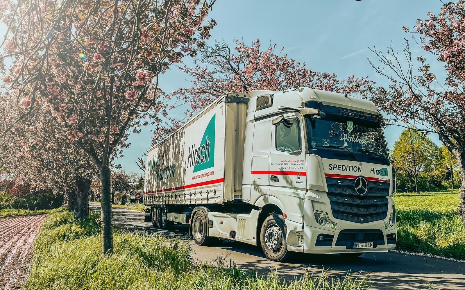 Weißer Sattelschlepper auf einer von blühenden Bäumen gesäumten Straße, strahlend sonniger Tag.