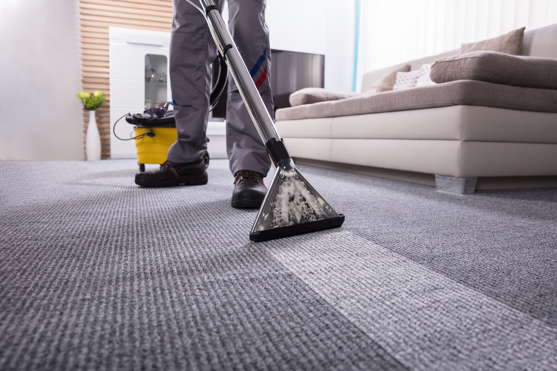 Personne passant l'aspirateur sur un tapis gris dans une pièce avec un canapé, une plante et une fenêtre.