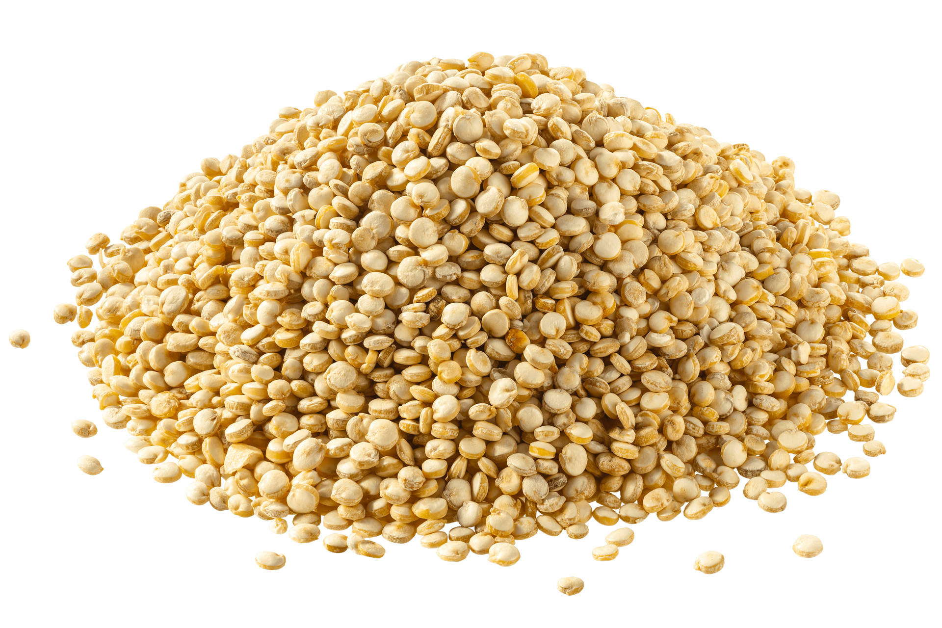 Un tas de graines de quinoa sur fond blanc.
