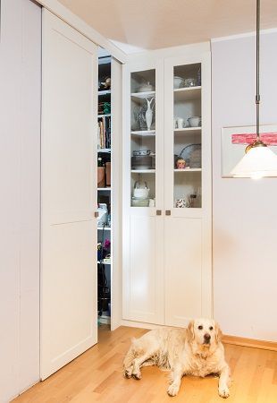 Ein Hund liegt auf dem Boden vor einem Schrank.