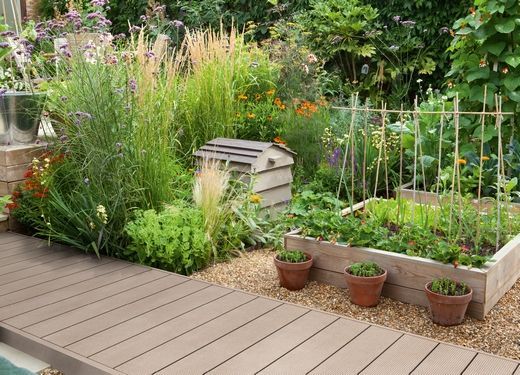 Ein Holzsteg führt zu einem Garten mit vielen Pflanzen und Blumen.