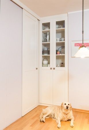 Ein Hund liegt auf dem Boden vor einem Schrank.