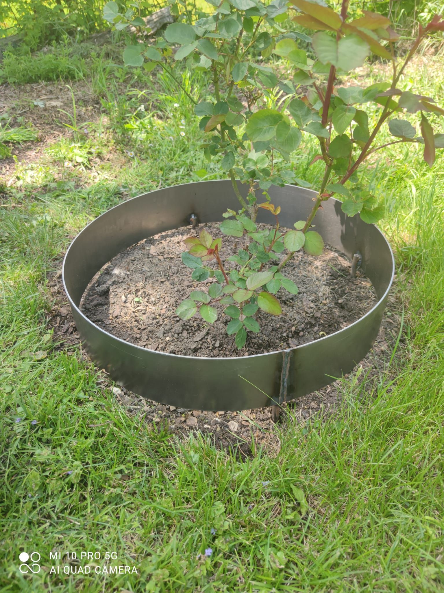 Schlosserei Metallbau - M. Flammer Schlosserei GmbH - Hägendorf