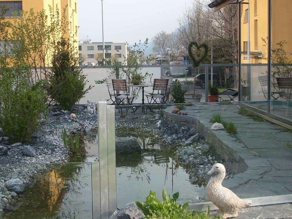 Teich - Schweizer Gartenbau