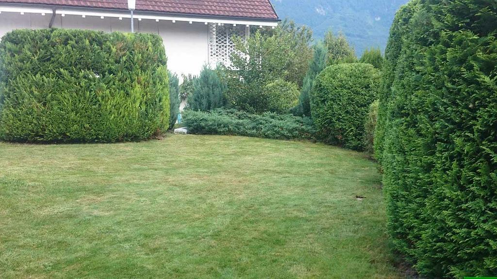 Gartenpflege - Schweizer Gartenbau