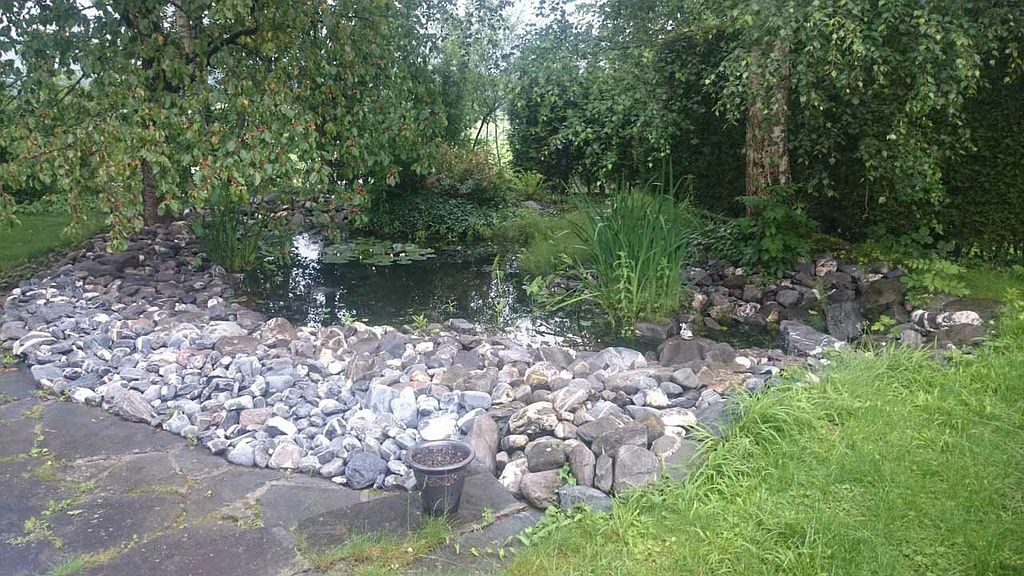 Teich - Schweizer Gartenbau