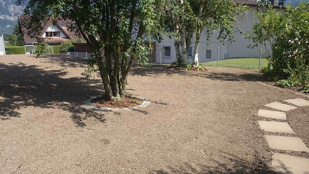 Neusaat Rasen - Schweizer Gartenbau