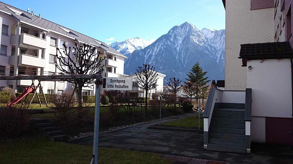 Winterschnitt - Schweizer Gartenbau