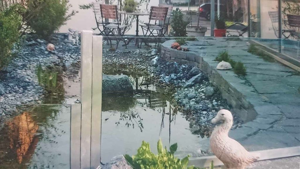 Teich - Schweizer Gartenbau