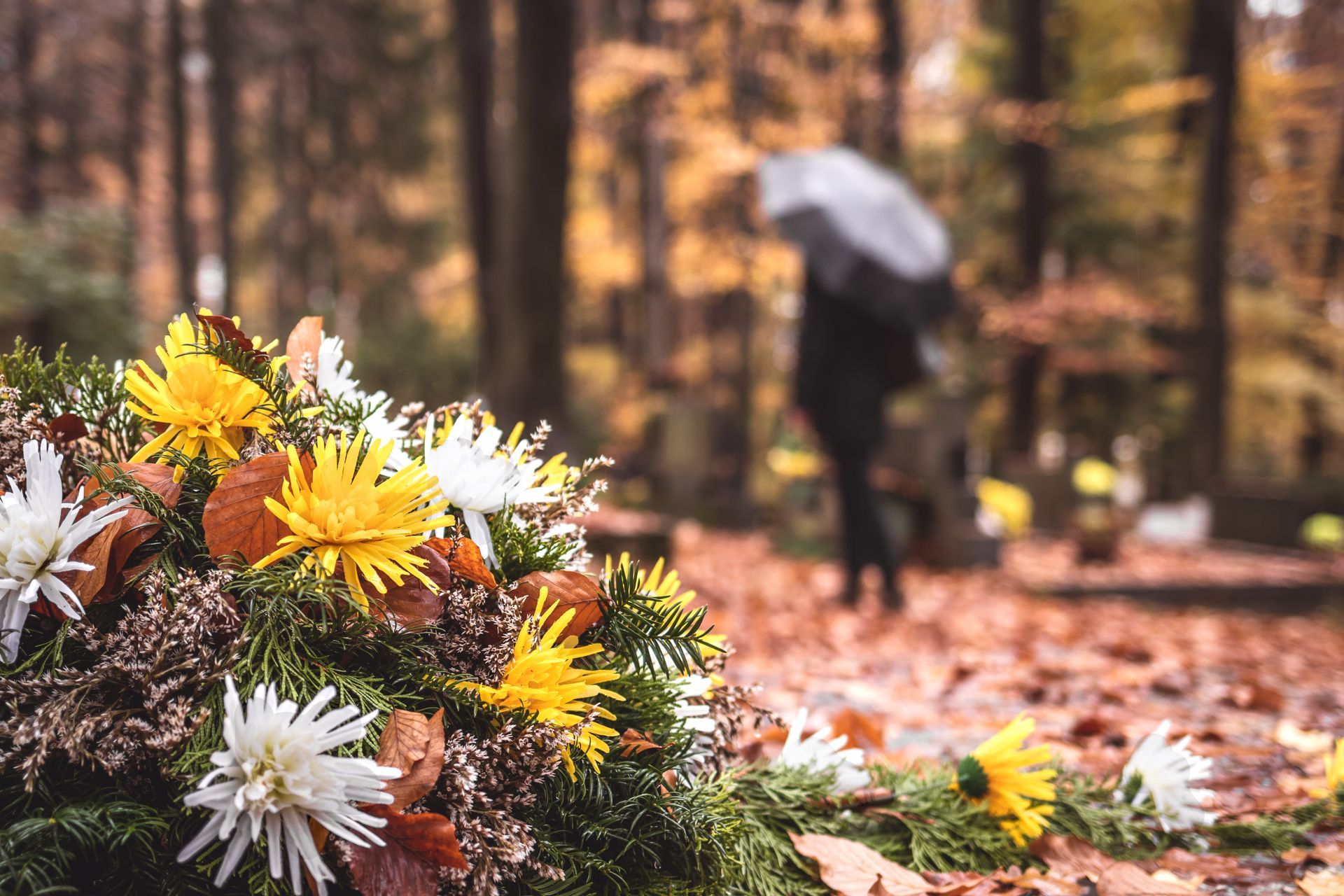 Blumen im Vordergrund eines Waldweges, im Hintergrund eine verschwommene Person, die weggeht.