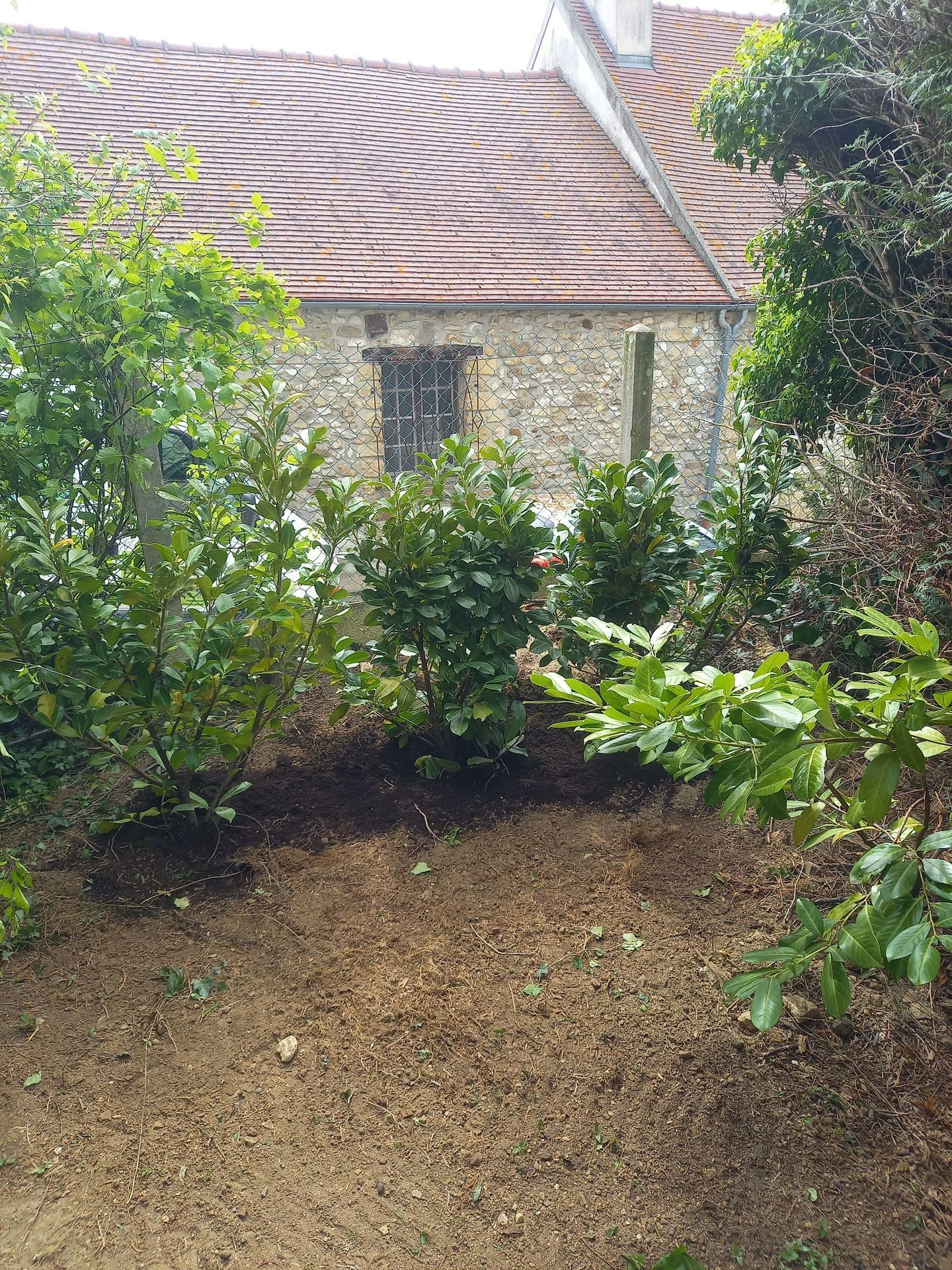 Nettoyage d'un jardin - après