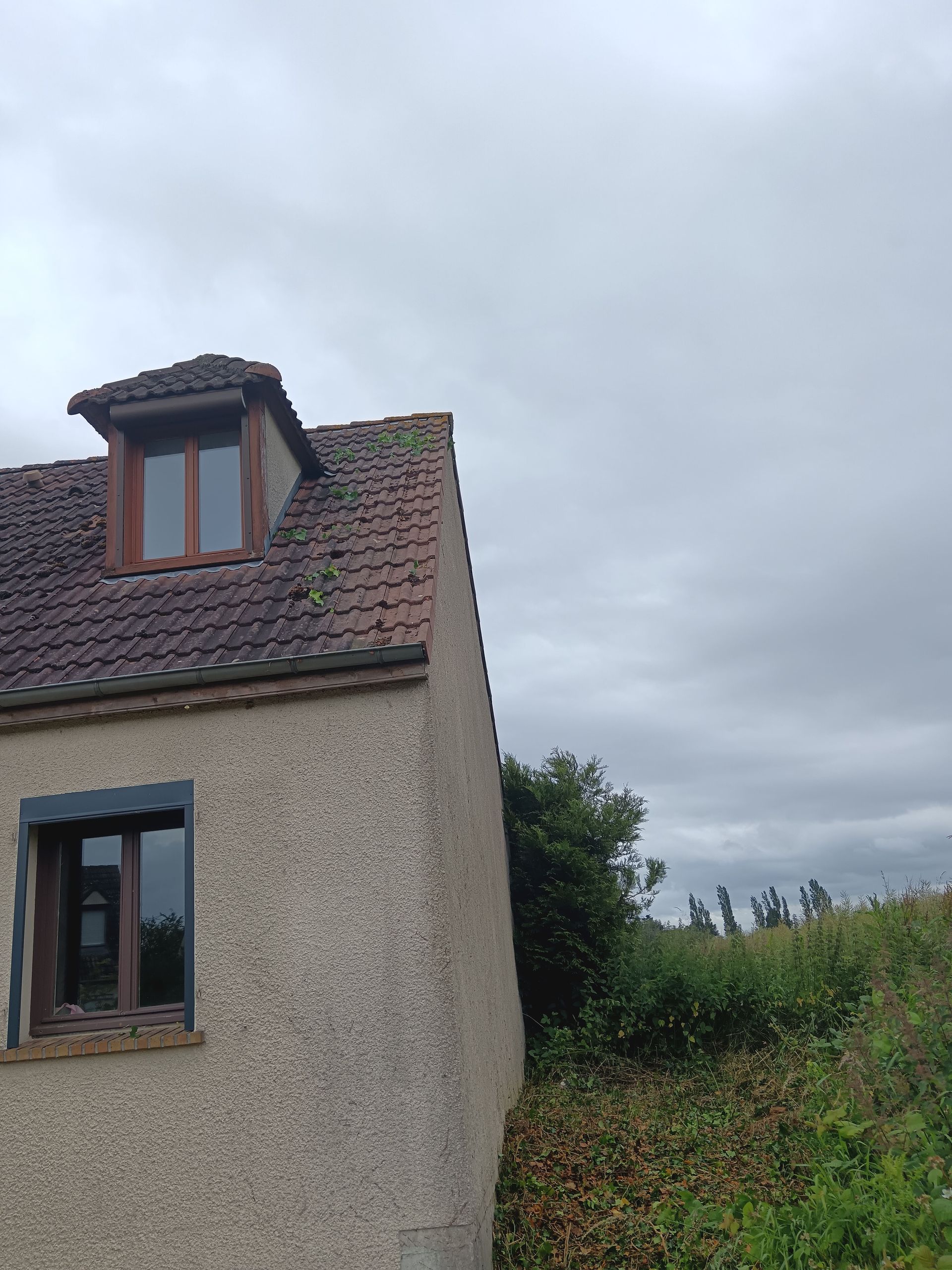 Entretien maison - après