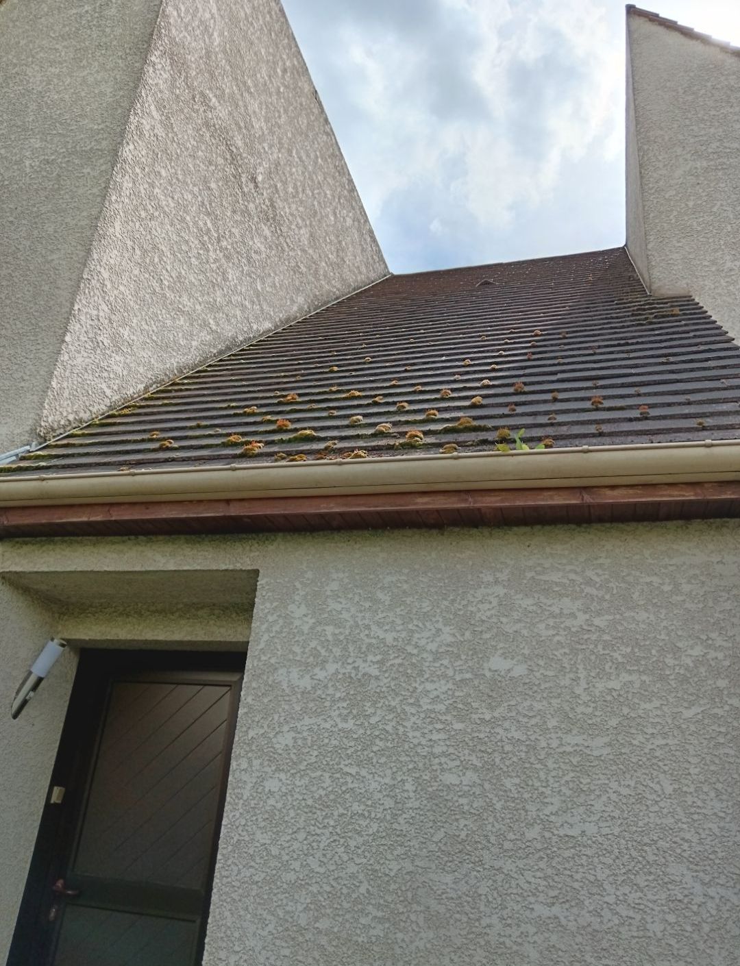 Nettoyage d'une toiture - avant