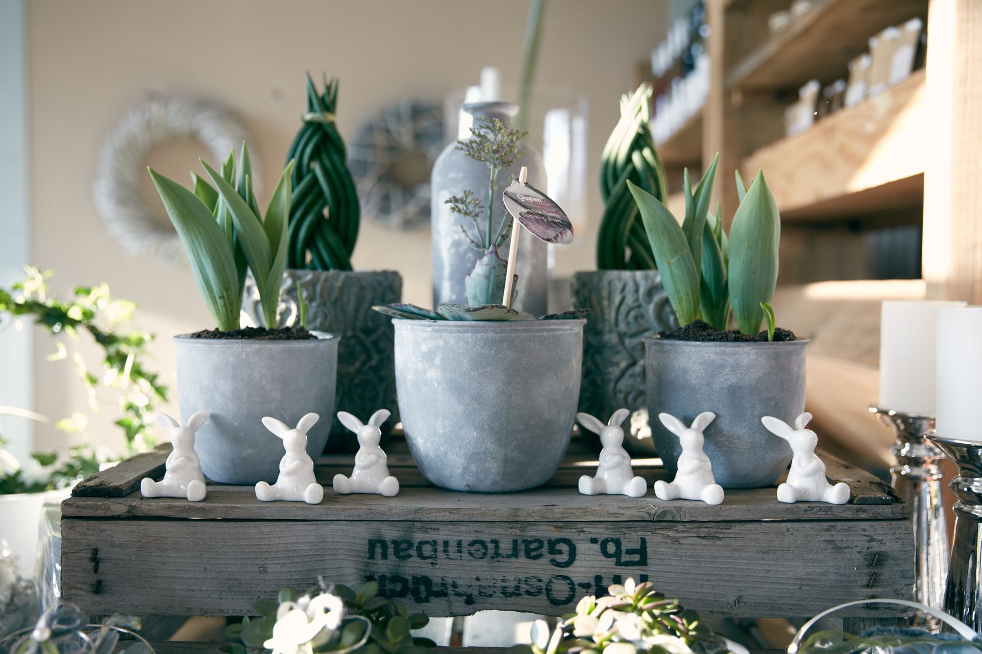 Verkaufstisch mit Pflanzen, Übertöpfen und Osterdekorationen bei Blümerant