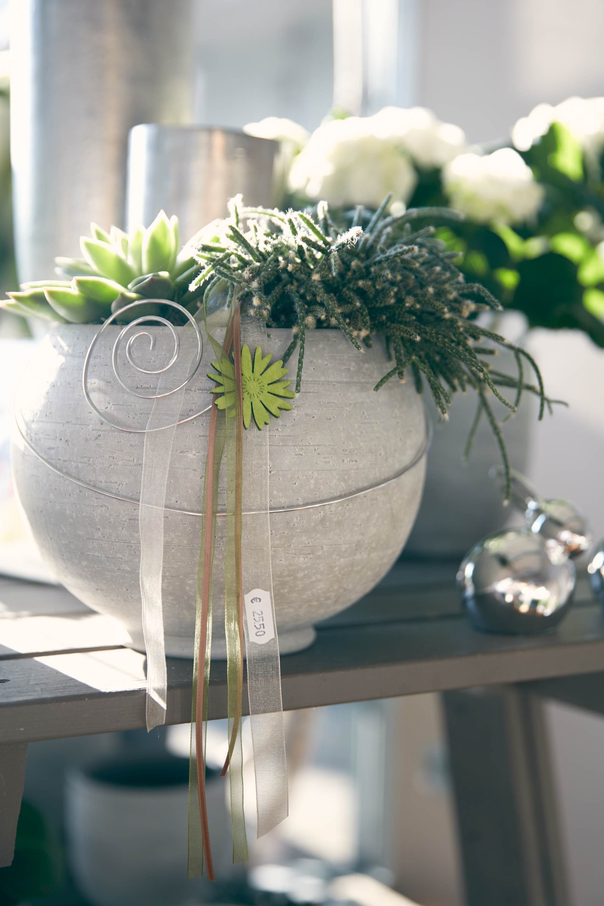 Grünpflanzen im Steintopf mit Dekorationen