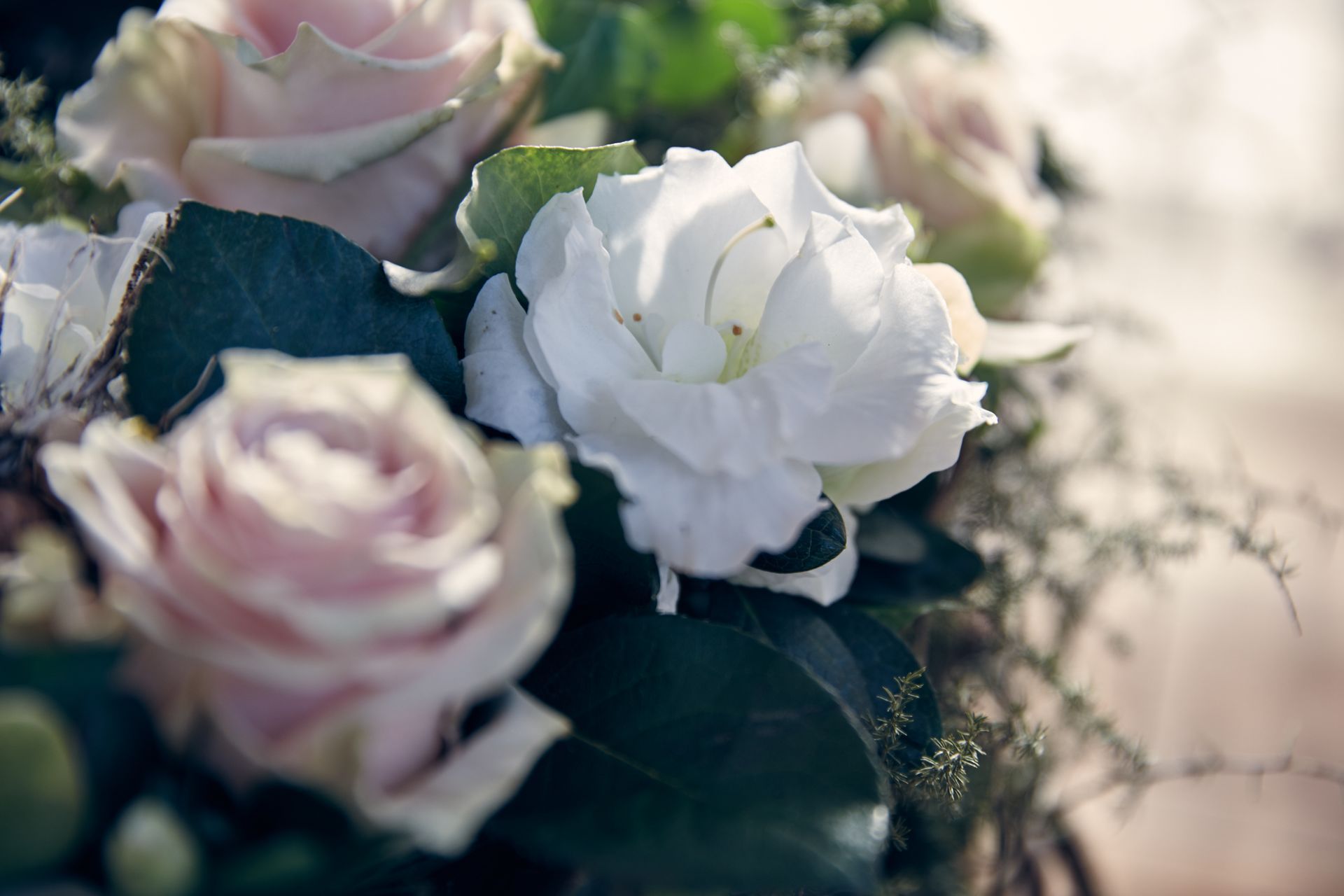 Nahaufnahme eines Blumenstraußes mit rosa und weißen Rosen