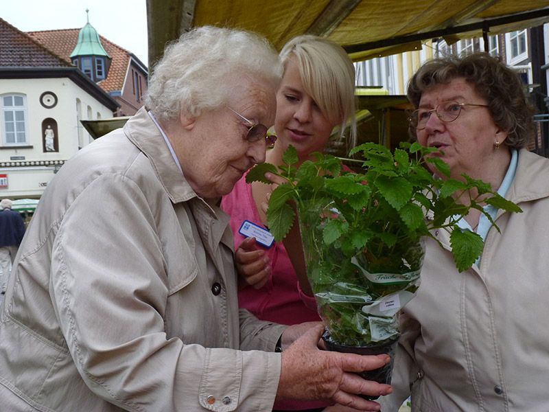 Drei Frauen betrachten gemeinsam eine Topfpflanze