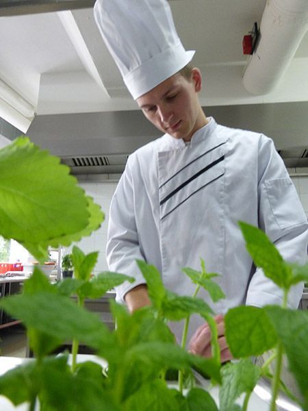 Ein Mann mit Kochmütze betrachtet einige grüne Pflanzen