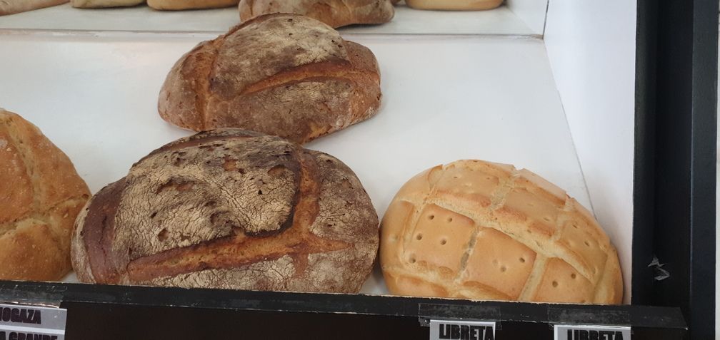 Varias hogazas de pan expuestas en una panadería, con diferentes texturas y colores de corteza.