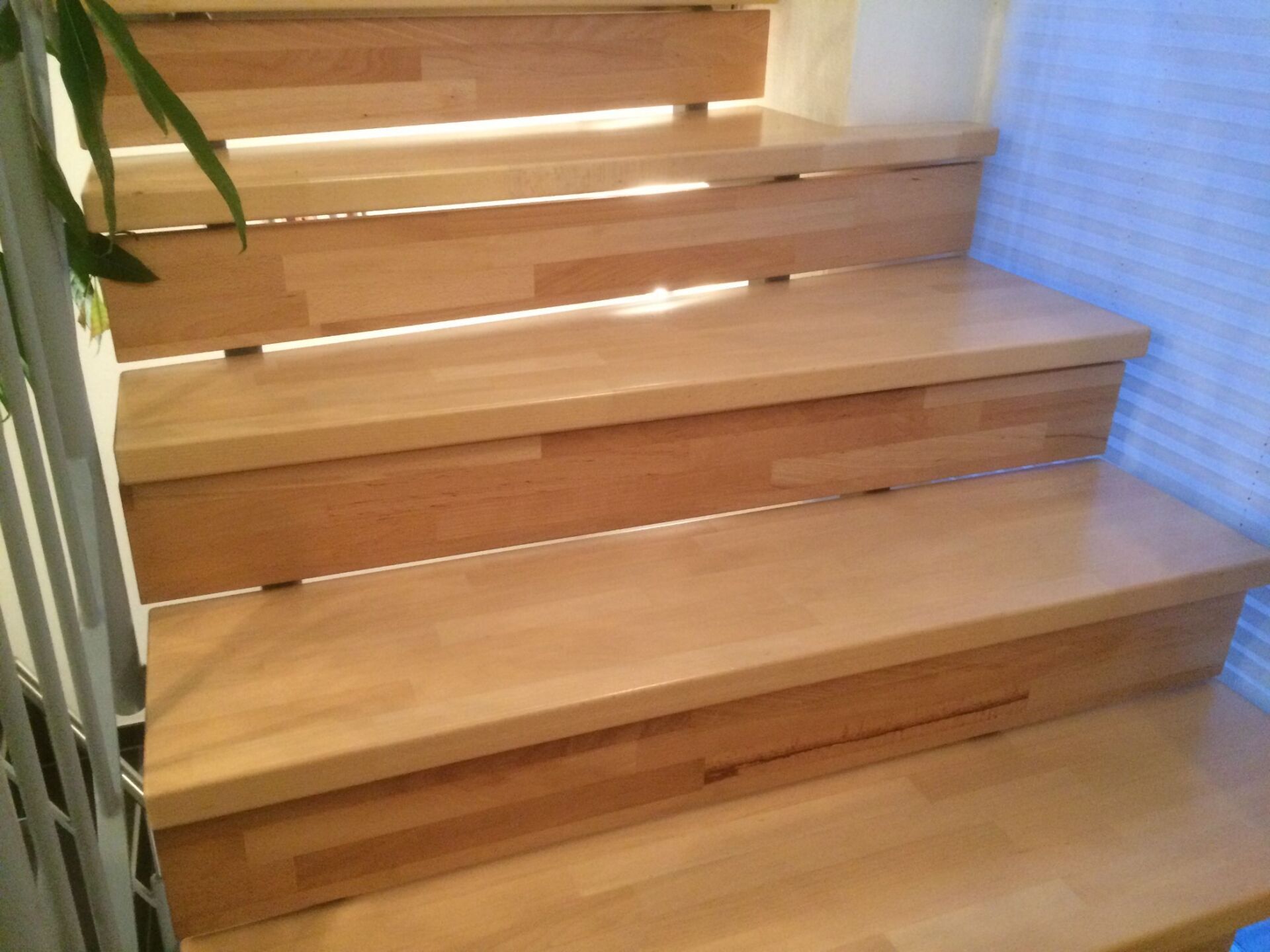 Treppenstufen und Handläufe