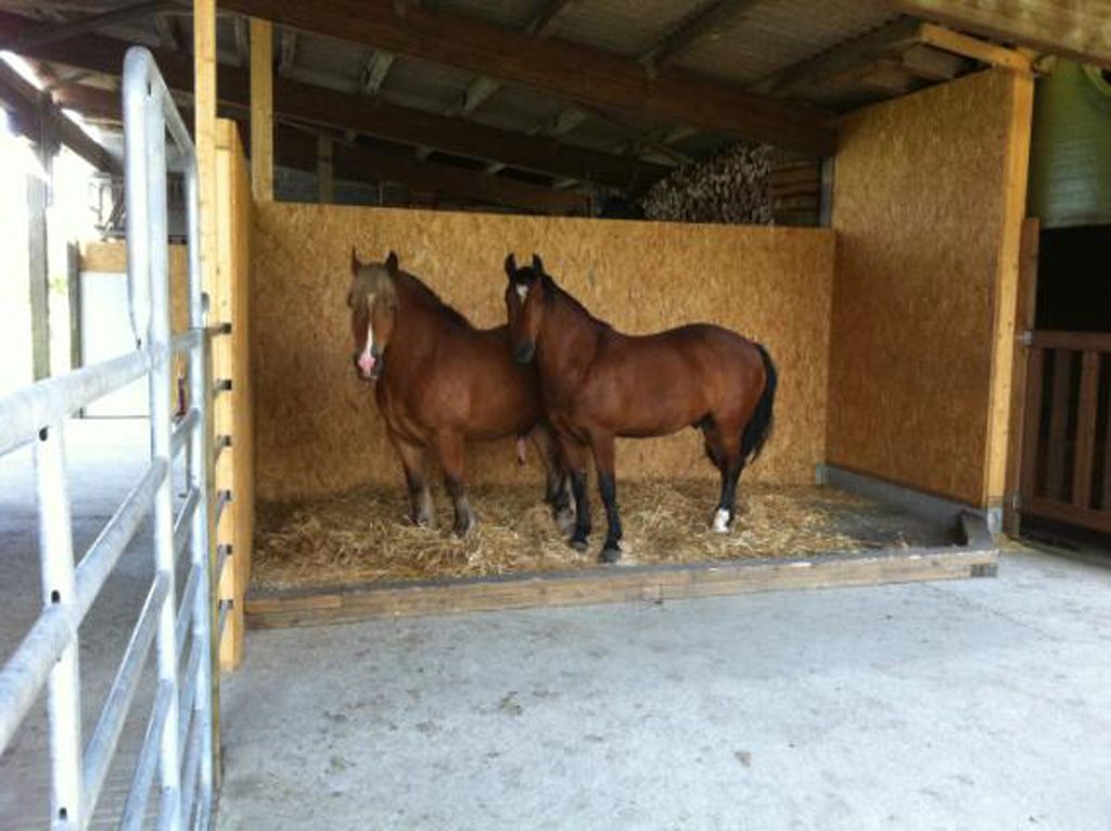 Arbeiten - Rechsteiner Renovationen
