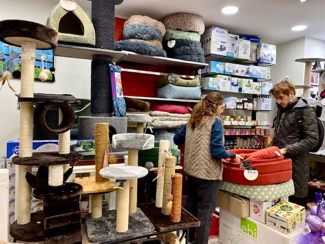 Des clients consultent des articles pour chats : des arbres à chat, des paniers et autres accessoires.