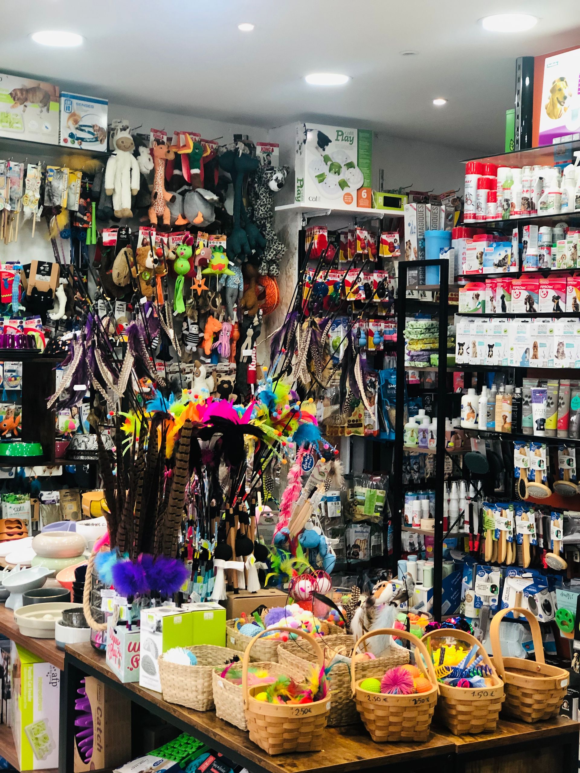 Intérieur d'une animalerie avec des jouets, de la nourriture et des accessoires présentés sur des étagères.