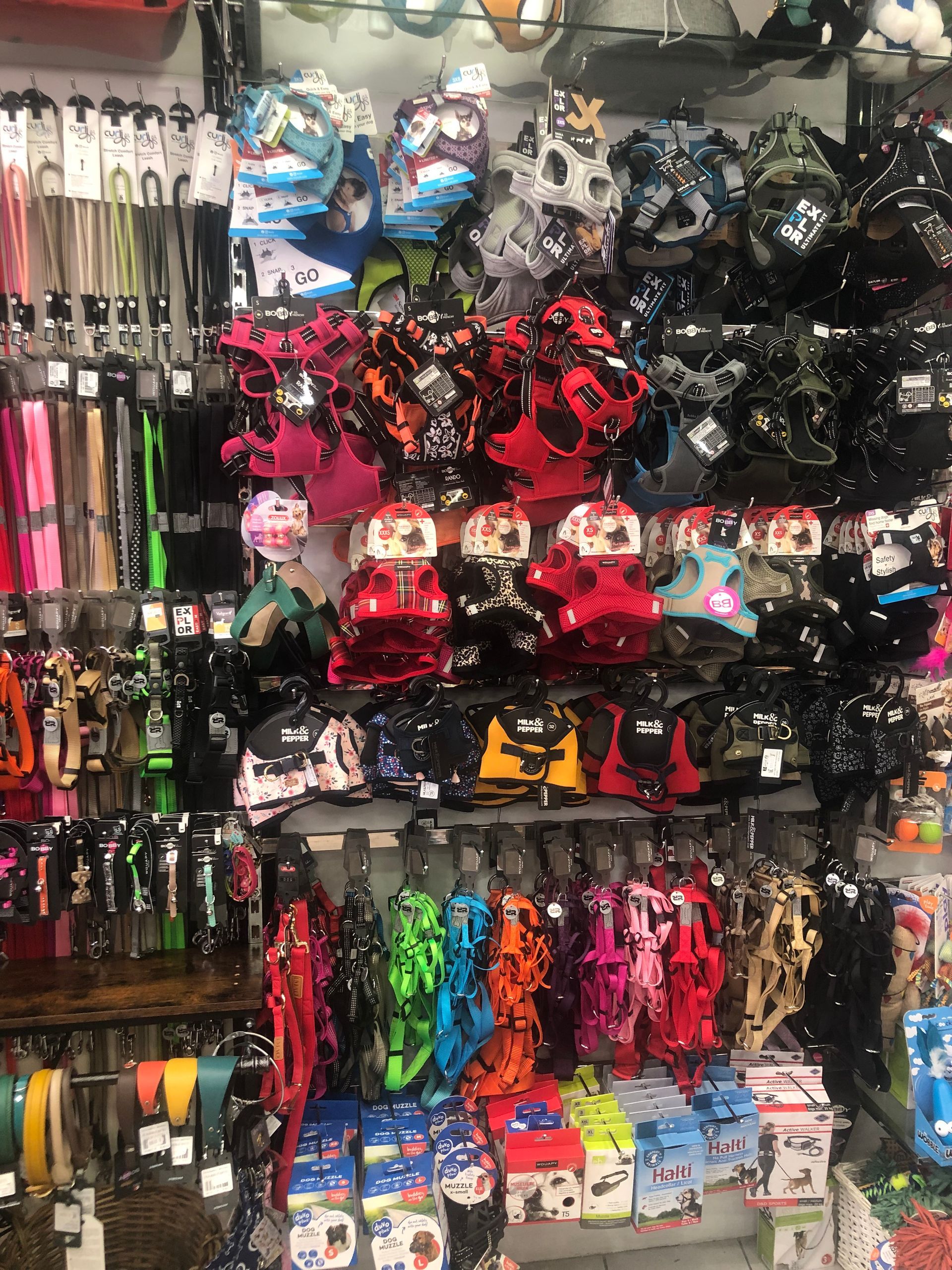 Harnais et laisses pour animaux de compagnie de couleurs et de motifs variés, présentés sur une étagère de magasin.