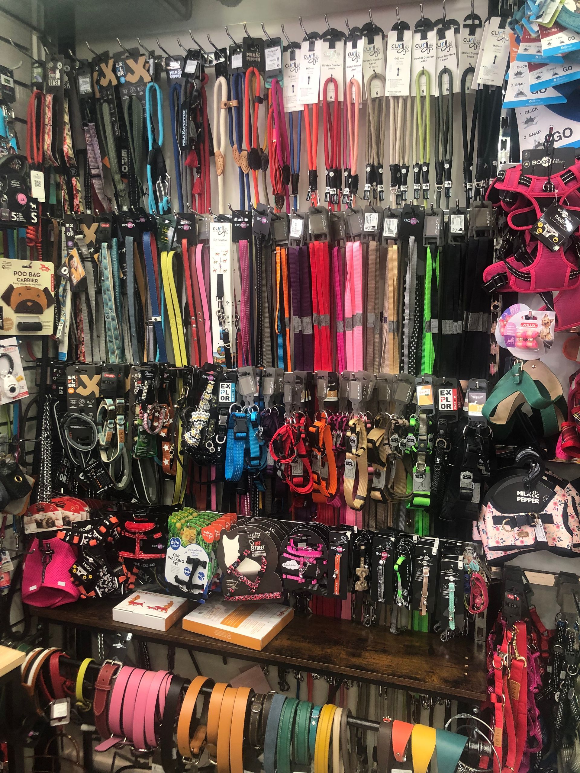 Présentoir mural de laisses et de harnais colorés pour chiens dans une animalerie.
