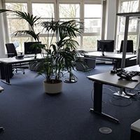 Ein weißer Sattelzug mit dem Logo „NUTRIFORM & DSM“ parkt in der Nähe eines Gebäudes.