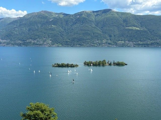 Moderne Küche mit weissen Schränken, dunkler Arbeitsplatte, Kochfeld und Holzboden.