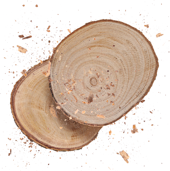 Zwei Holzscheiben und Sägespäne