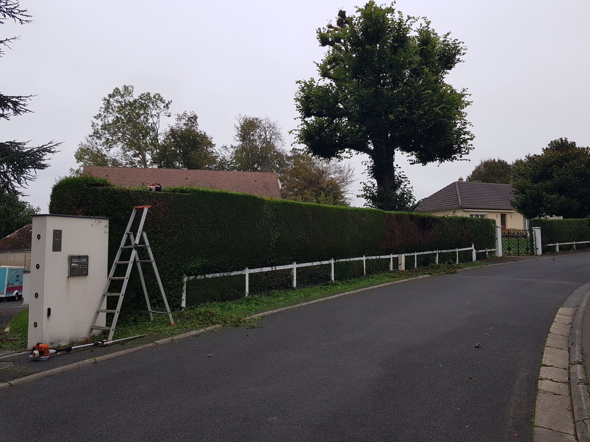 Rue de banlieue tranquille avec une haie, une échelle, des arbres et des maisons sous un ciel couvert