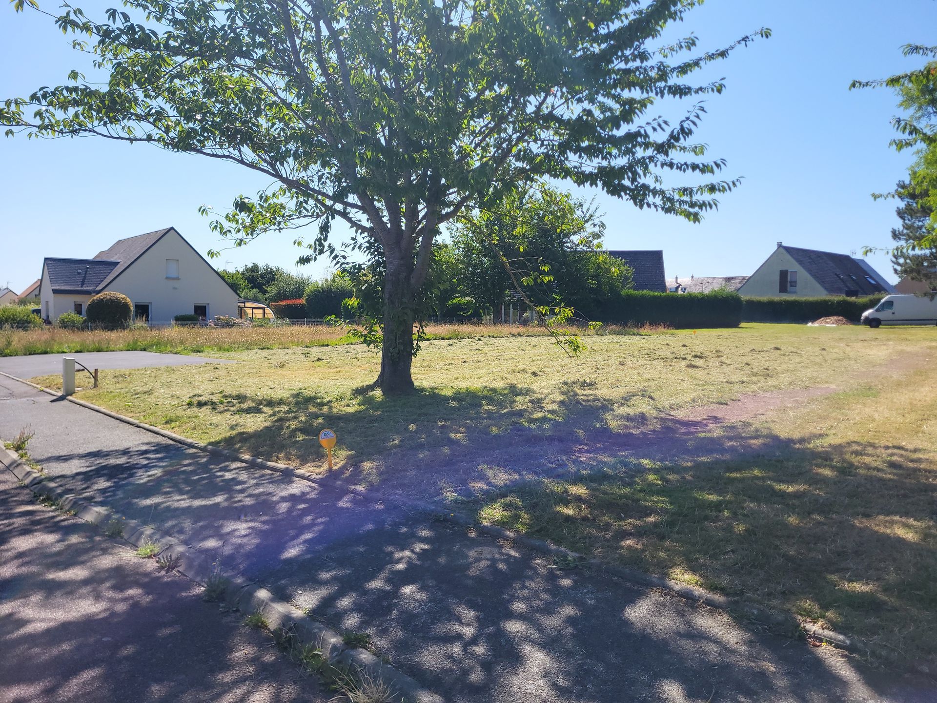 Un arbre projette son ombre sur un terrain herbeux avec des maisons en arrière-plan par une journée ensoleillée.