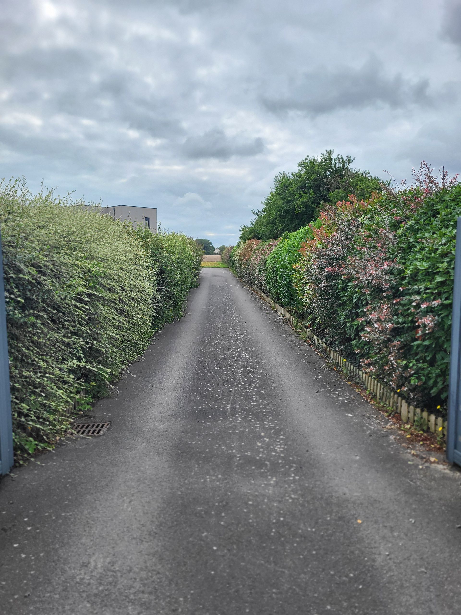 Une ruelle pavée étroite bordée de haies vertes, sous un ciel nuageux.