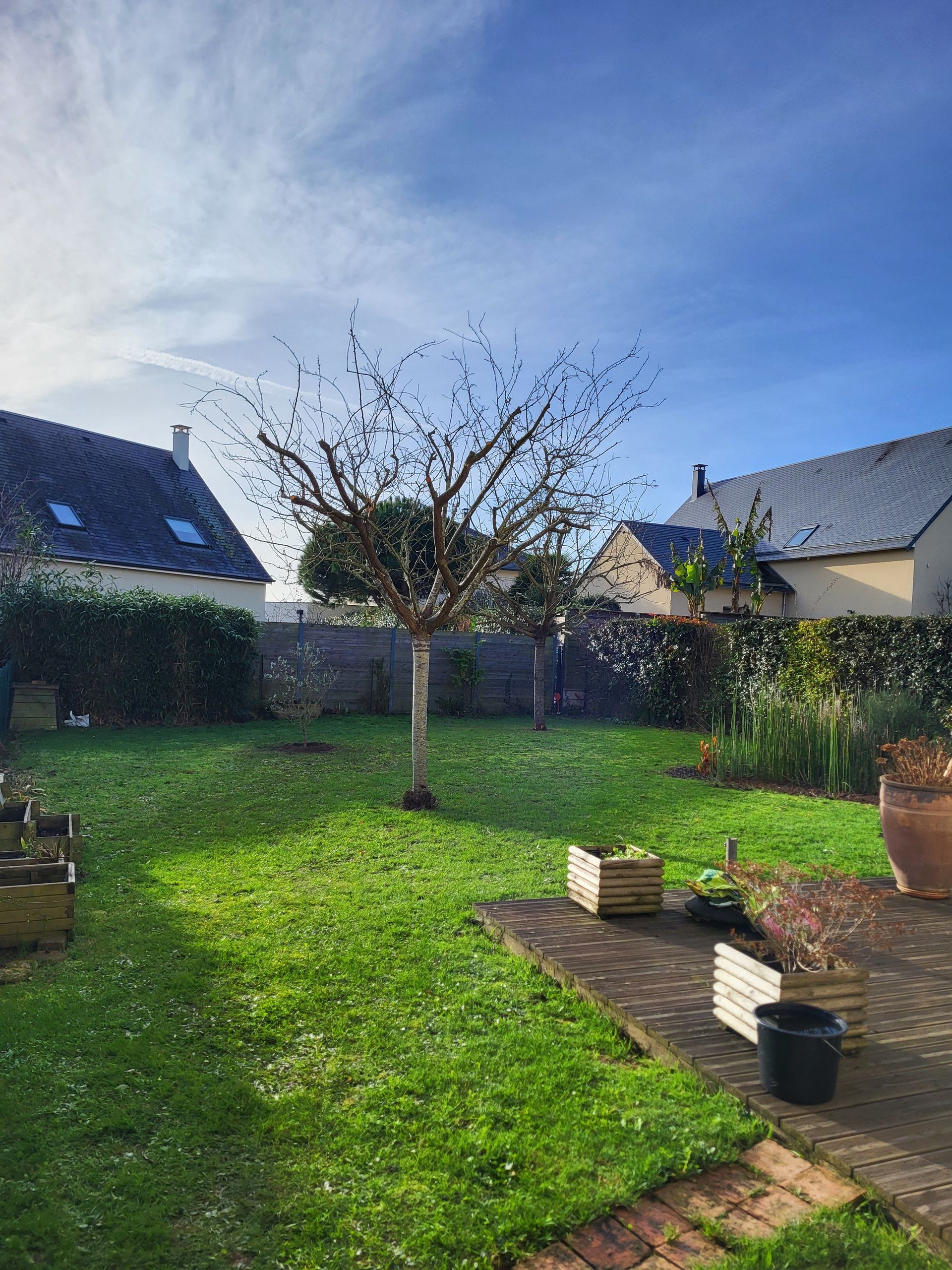 Cour arrière ensoleillée avec pelouse, allée de patio, arbres et maisons voisines sous un ciel bleu